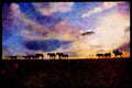 547060 Wrangling The Herd A4 Limited Edition Watercolour Print