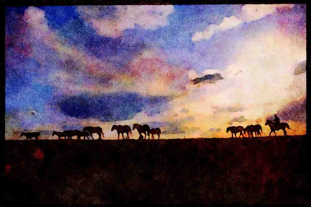 547060 Wrangling The Herd A4 Limited Edition Watercolour Print