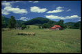 547061 Farmlands Of Madison County, Virginia A4 Photo Print