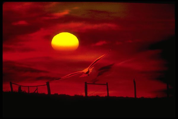 547062 Sunset Country Scene A4 Photo Print