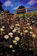 547066 Daisies, The Quantocks, Somerset, England A4 Limited Edition Watercolour Print