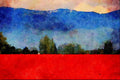 547069 Tulip Field, La Conner, Washington A4 Limited Edition Watercolour Print