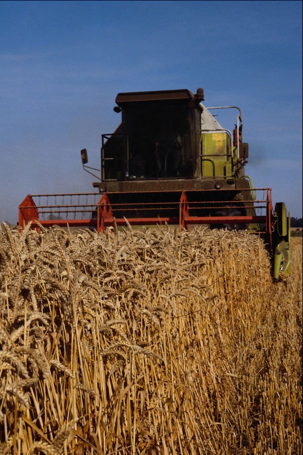 547071 Combining, Britain A4 Photo Print