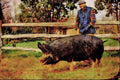 547073 Berkshire Pig, Britain A4 Limited Edition Watercolour Print