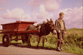 547074 Boy With Donkey Cart, County Mayo, Ireland A4 Photo Print