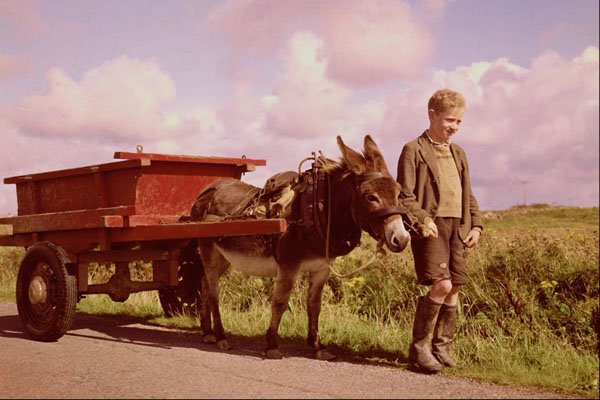 547074 Boy With Donkey Cart, County Mayo, Ireland A4 Photo Print
