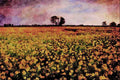 547077 Rape Fields, Cambs, England A4 Limited Edition Watercolour Print
