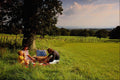 547082 Picnic On The Quantocks, Taunton Deane, Somerset, England A4 Photo Print