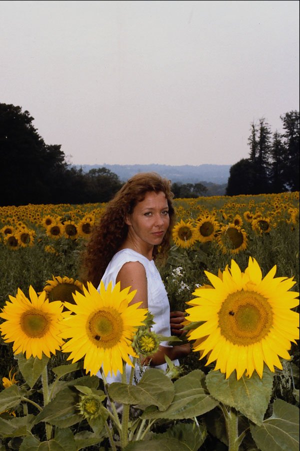 547085 Girl With Sunflowers, Britain A4 Photo Print
