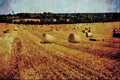 547086 Harvest, Britain A4 Limited Edition Watercolour Print