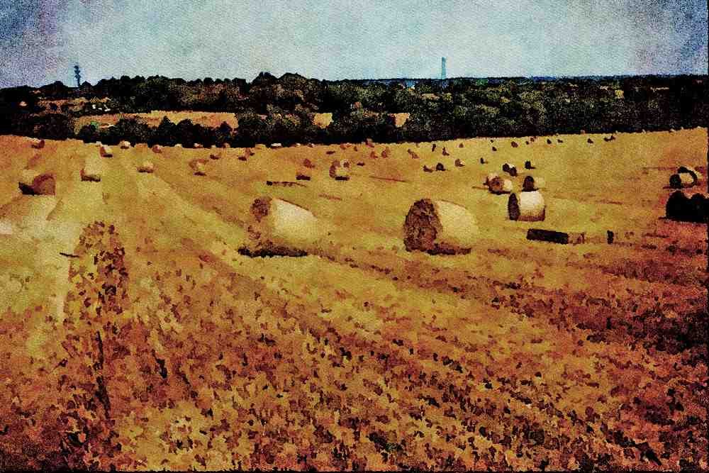 547086 Harvest, Britain A4 Limited Edition Watercolour Print