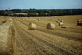 547086 Harvest, Britain A4 Photo Print