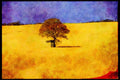 547088 Field Of Rape In Flower A4 Limited Edition Watercolour Print