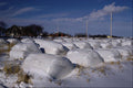 547091 Bales Of Hay Wrapped In Plastic, Nova Scotia, Canada A4 Photo Print