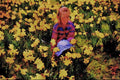 547096 Elizabeth Amongst The Daffodils A4 Limited Edition Watercolour Print