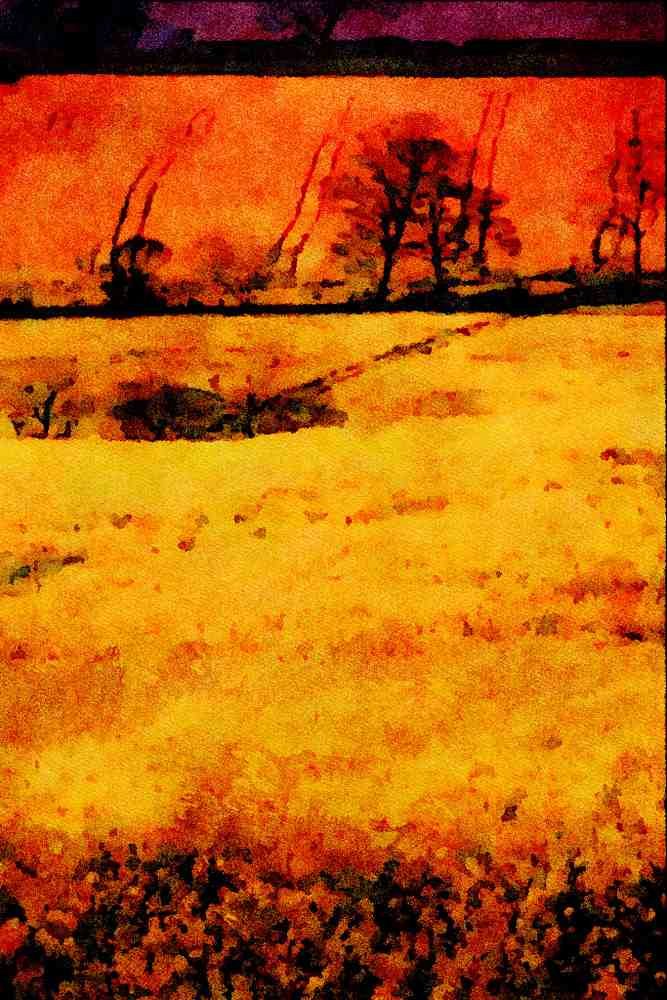 547097 Rape Field, Roseland, England A4 Limited Edition Watercolour Print