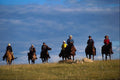 547098 Thundering Hooves A4 Photo Print