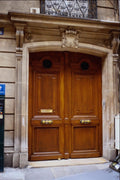 549016 Deep Ochre Door With Brass Letter Box A4 Photo Print