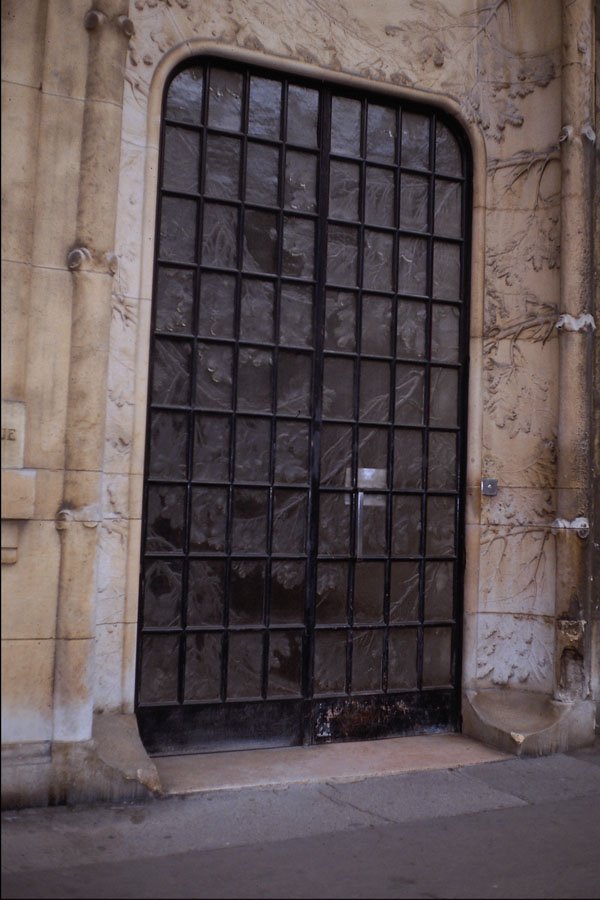 549077 Glass Leaves Designed Door A4 Photo Print
