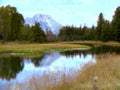 5494001980s 1990s A4 Photo Print