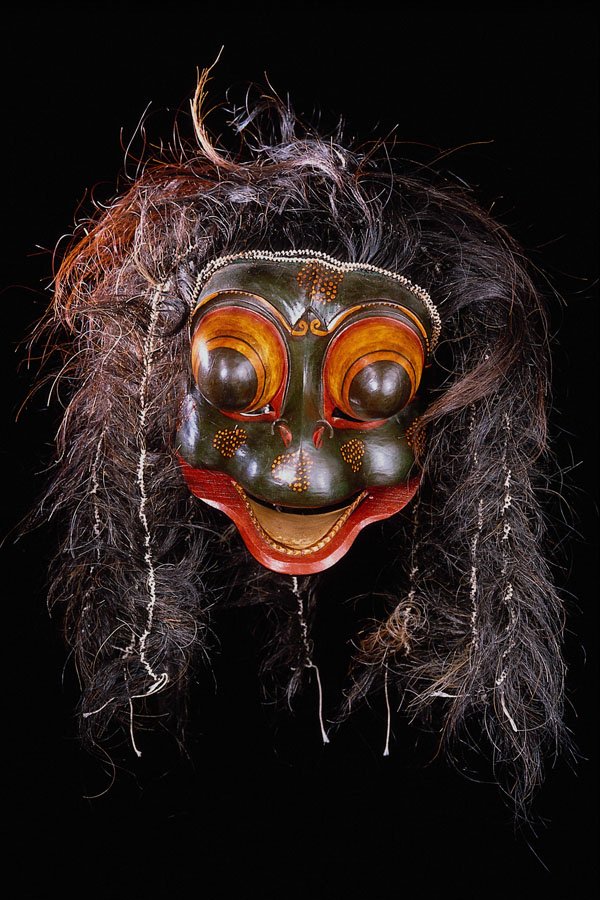550004 Java Monkey Mask A4 Photo Print