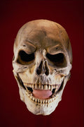 550023 Skull Mask A4 Photo Print