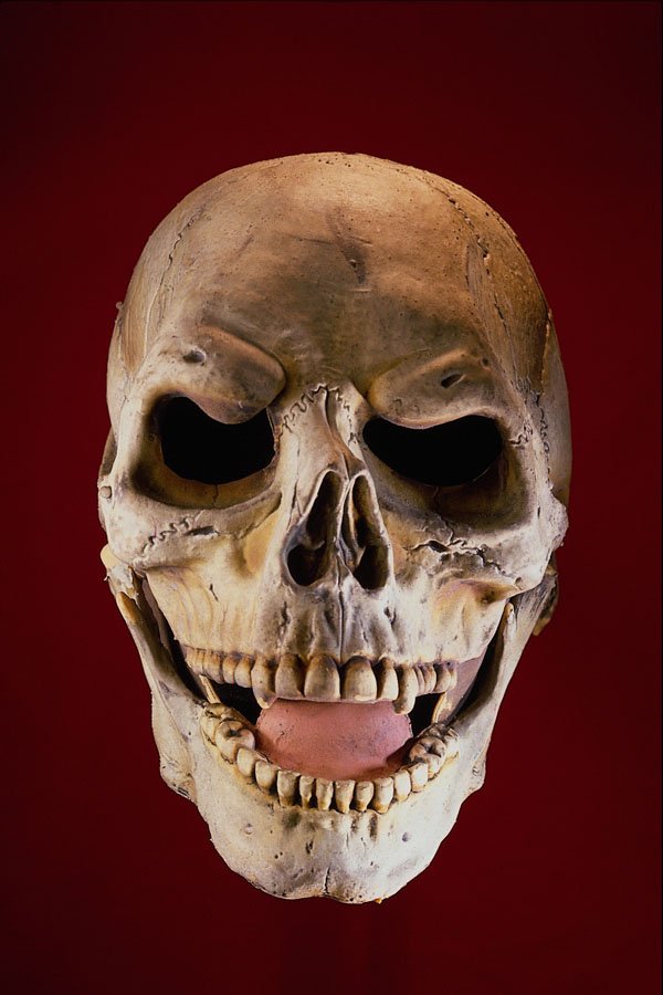 550023 Skull Mask A4 Photo Print