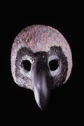 550061 Penguin A4 Photo Print