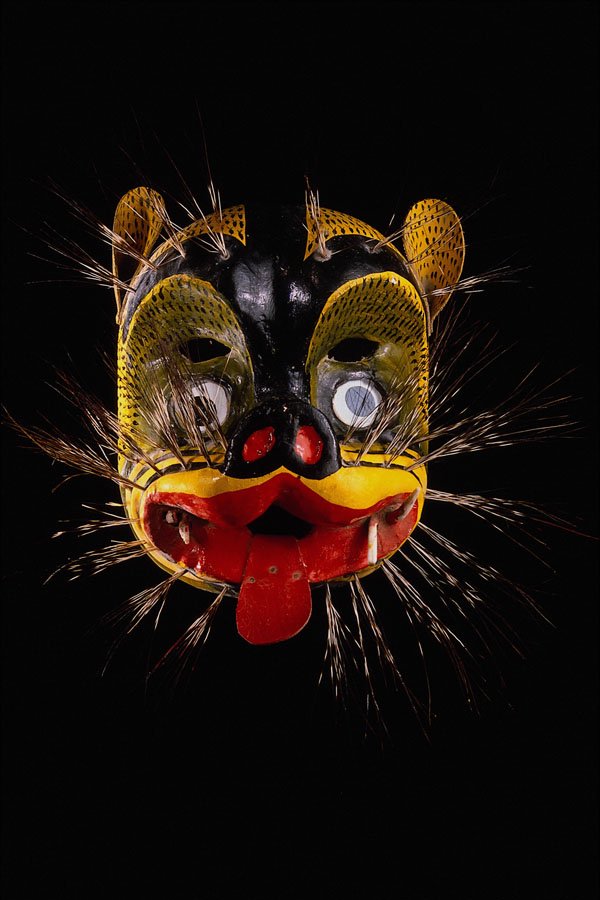 550067 Mexican Boar Mask A4 Photo Print
