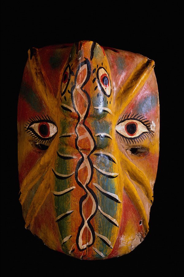 550068 Mexican Bug Mask A4 Photo Print