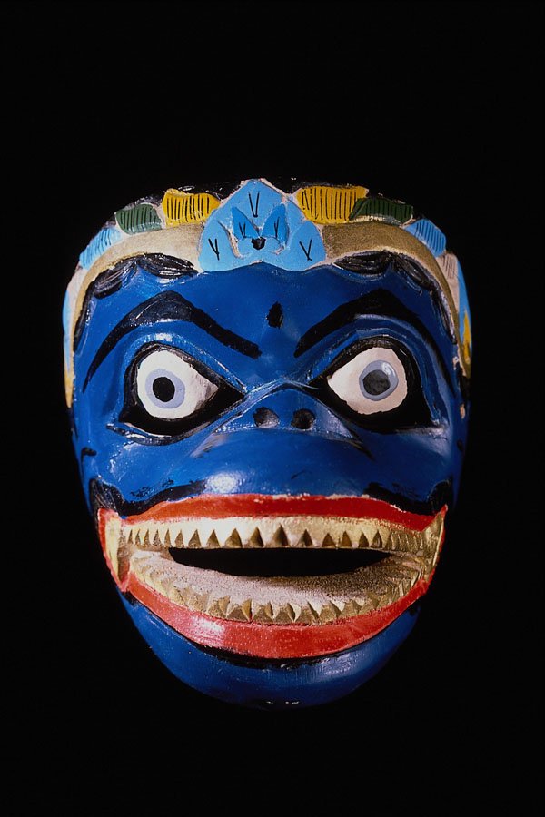 550077 Blue Monkey Mask A4 Photo Print