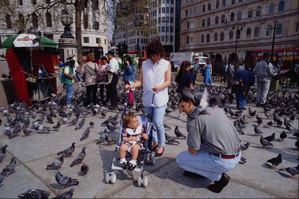 551078 Tourists Feeding Pigeons, Trafalgar Square, London, England A4 Photo Print