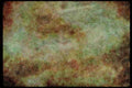 551083 Spider Image, Plains Of Nazcu, Peru A4 Limited Edition Watercolour Print