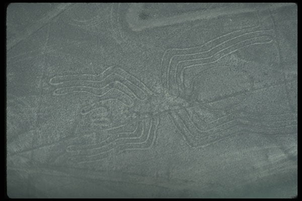551083 Spider Image, Plains Of Nazcu, Peru A4 Photo Print
