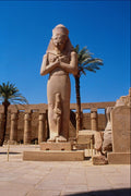 551097 Statue Of Ramses II, Temple Of Amun, Egypt A4 Photo Print