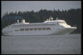 553010 Regal Princess Against Trees A4 Photo Print
