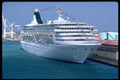 553026 Royal Princess A4 Photo Print