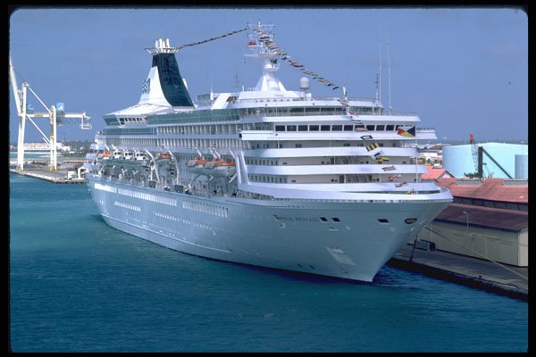 553026 Royal Princess A4 Photo Print