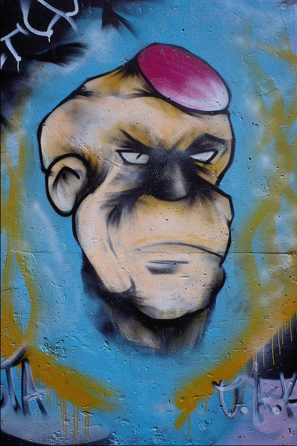 554023 Monkey's Uncle, Ottawa, Canada A4 Photo Print