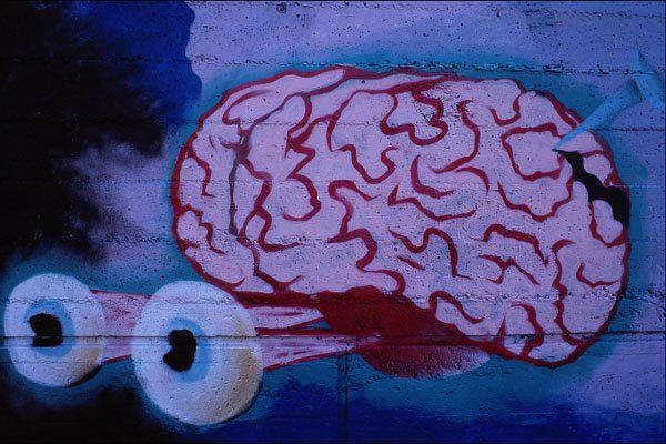 554027 Eye Brain, Ottawa, Canada A4 Photo Print