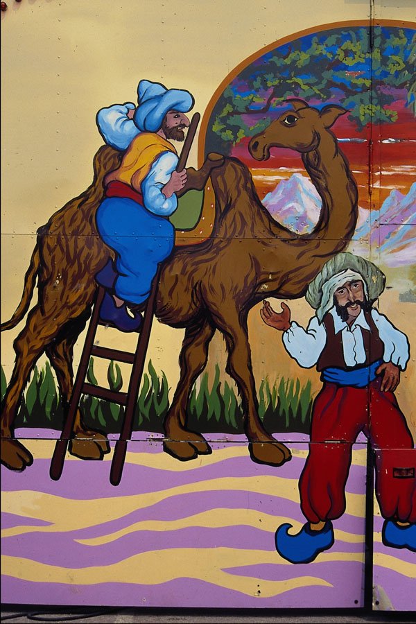 554054 Mounting The Camel A4 Photo Print