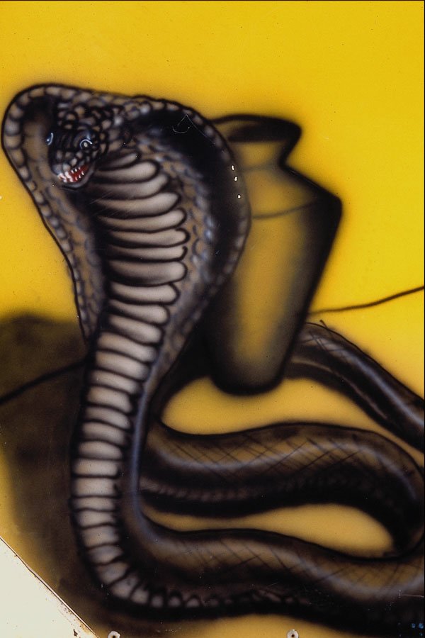 554071 King Cobra A4 Photo Print