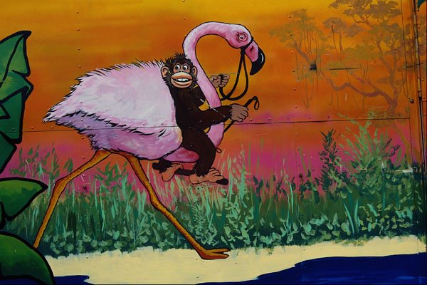 554097 Monkey And The Flamingo A4 Photo Print