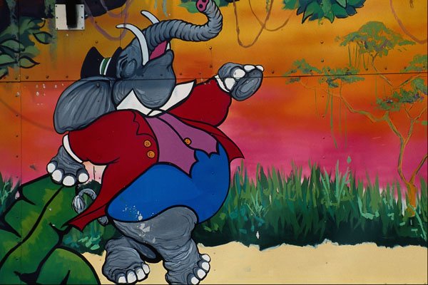 554098 Strolling Elephant A4 Photo Print