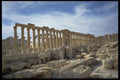 555002 Colonnade In Tadmur, Syria A4 Photo Print