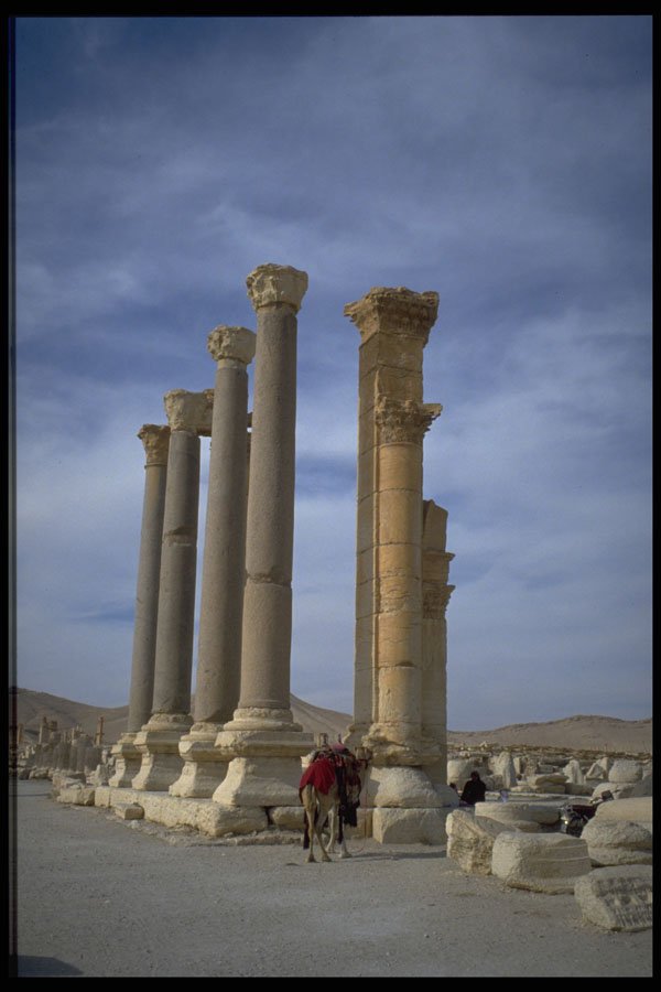 555003 Columns In Tadmur, Syria A4 Photo Print