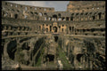 555016 Coliseum, Rome, Italy A4 Photo Print