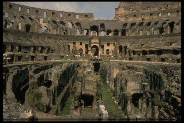 555016 Coliseum, Rome, Italy A4 Photo Print