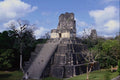 555033 Mayan Ruins, Tikal, Guatemala A4 Photo Print