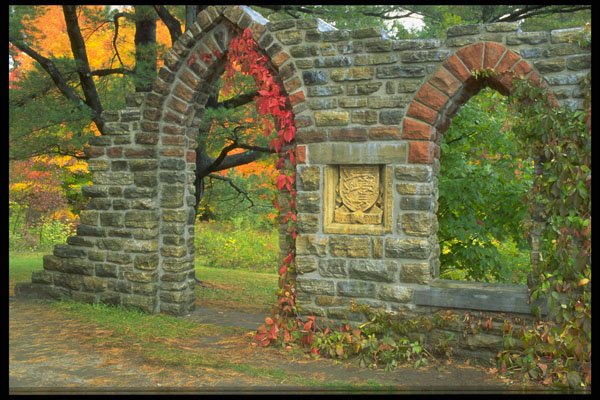 555043 Abbey Ruins, Mackenzie King Estate, Quebec, Canada A4 Photo Print